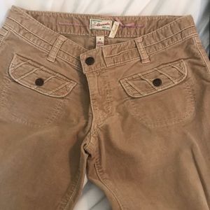 Abercrombie velvet boot leg pants